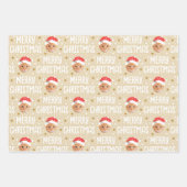 Vrolijk Kerstfeest Kerstman Foto Schattige Gezicht Inpakpapier Vel (Voorkant)
