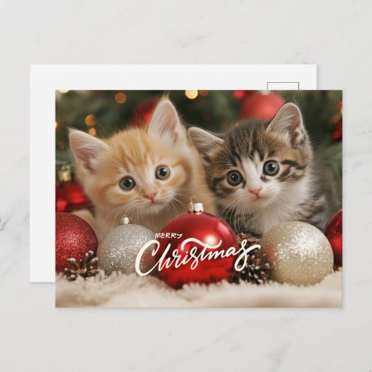 Vrolijk kerstfeest Kittens en Ornamenten Feestdagenkaart (Voorkant / Achterkant)