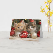 Vrolijk kerstfeest Kittens en Ornamenten Kaart (Gele Bloem)