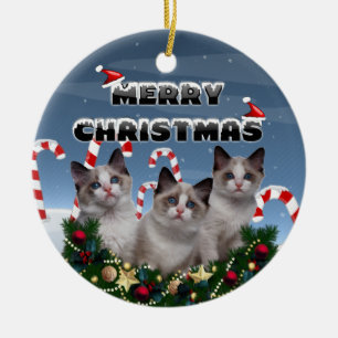 Vrolijk kerstfeest Kittens in Candy Cane Land Keramisch Ornament