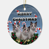 Vrolijk kerstfeest Kittens in Candy Cane Land Keramisch Ornament (Links)