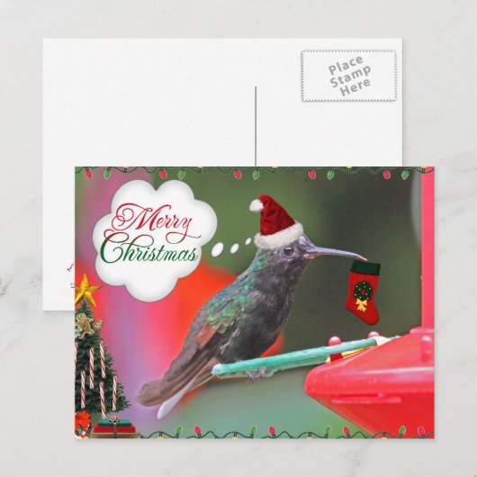 Vrolijk Kerstfeest kolibrie Feestdagenkaart (Voorkant / Achterkant)