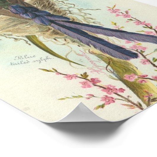 Vrolijk kerstfeest  kolibrie poster (Hoek)