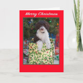 Vrolijk kerstfeest Labradoodle Puppy Kaart (Voorkant)