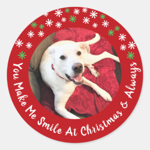 Vrolijk Kerstfeest Lachende Hond Foto Grappig Rode Ronde Sticker
