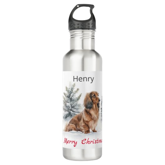 Vrolijk kerstfeest langharige teckel hond in de sn waterfles  (Voorkant)