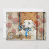 Vrolijk Kerstfeest Leuke Ornamenten Vakantie Kaart (Voorkant)