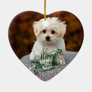 Vrolijk kerstfeest, Maltese puppy, schattig en knu Keramisch Ornament