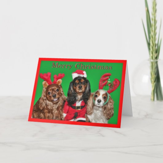 Vrolijk kerstfeest met drie Koning Charles Spaniel Feestdagen Kaart (Voorkant)