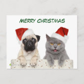 Vrolijk kerstfeest met hond en Kittten Feestdagenkaart (Voorkant)