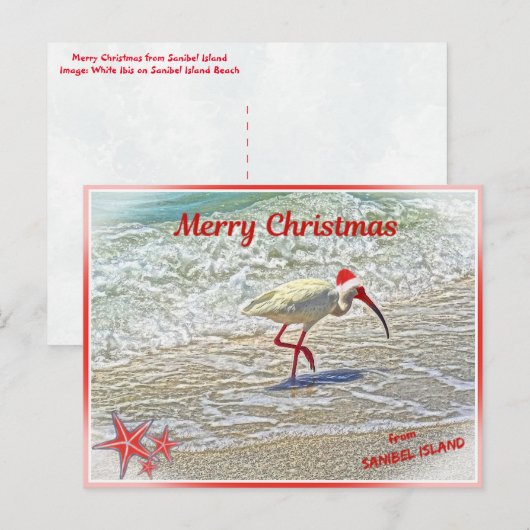 Vrolijk kerstfeest op Sanibel Island FL White Ibis Feestdagenkaart (Voorkant / Achterkant)