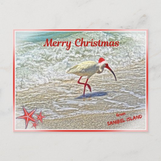 Vrolijk kerstfeest op Sanibel Island FL White Ibis Feestdagenkaart (Voorkant)