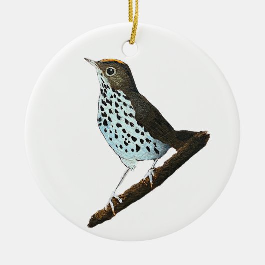 Vrolijk kerstfeest ~Ovenbird~ Keramisch Ornament (Voorkant)
