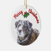 Vrolijk kerstfeest personaliseren huisdier foto sj keramisch ornament (Rechts)