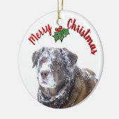 Vrolijk kerstfeest personaliseren huisdier foto sj keramisch ornament (Links)