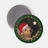 "Vrolijk kerstfeest"-puppy met Santa Hat Magneet (Voorkant / Achterkant)