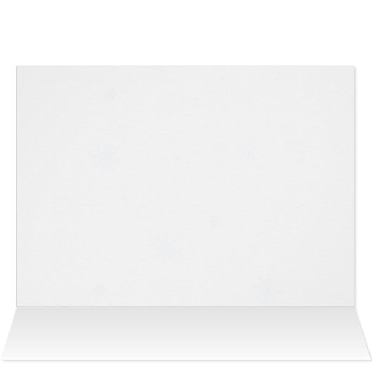 Vrolijk kerstfeest. Red Cardinals Custom Holiday K (Binnen Horizontaal (Boven))