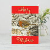 Vrolijk kerstfeest Robin op sneeuwfotokaart Feestdagenkaart (Staand voorkant)