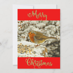 Vrolijk kerstfeest Robin op sneeuwfotokaart Feestdagenkaart