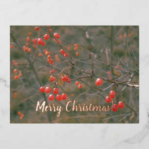 Vrolijk Kerstfeest Rode bessen Feestelijke Natuur Folie Feestdagen Briefkaart
