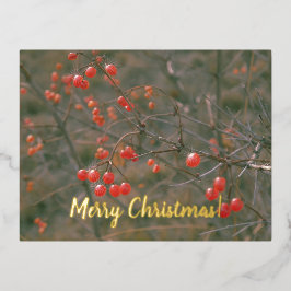 Vrolijk Kerstfeest Rode bessen Feestelijke Natuur  Folie Feestdagen Briefkaart