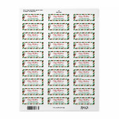 Vrolijk kerstfeest Santa Red + groen retouradres Etiket (Full Sheet)