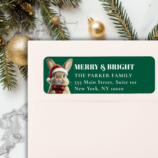 vrolijk kerstfeest! Schattig, Konijn, Santa Hat Etiket
