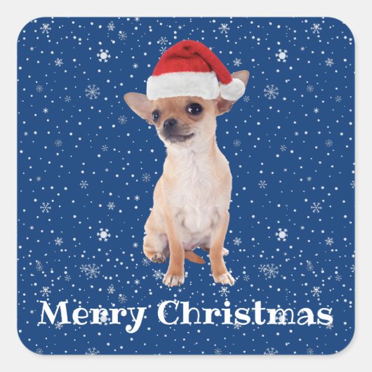 Vrolijk kerstfeest Schattige Chihuahua Santa 2 Vierkante Sticker (Voorkant)