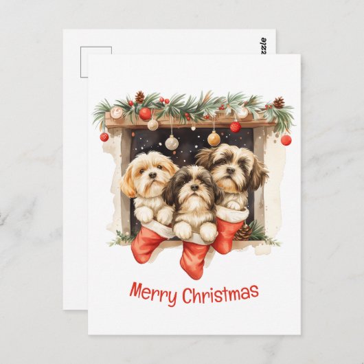 Vrolijk Kerstfeest Shih Tzu Honden Briefkaart (Voorkant / Achterkant)
