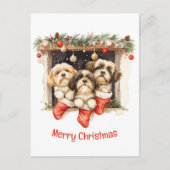 Vrolijk Kerstfeest Shih Tzu Honden Briefkaart (Voorkant)