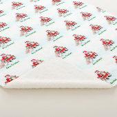 Vrolijk kerstfeest! Sinterklaas met kat en hond Sherpa Deken (3/4)