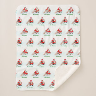 Vrolijk kerstfeest! Sinterklaas met kat en hond Sherpa Deken