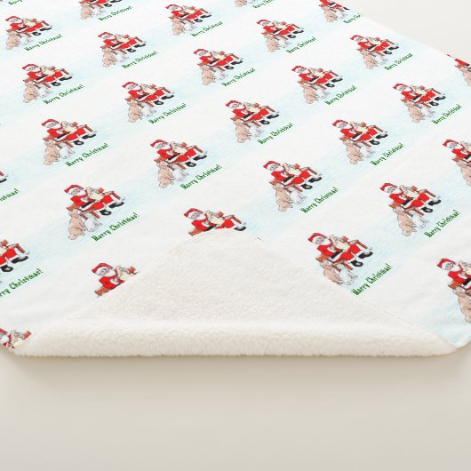 Vrolijk kerstfeest! Sinterklaas met kat en hond Sherpa Deken (3/4)