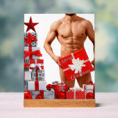 Vrolijk Kerstfeest SlipperyJoe rood wit zilver cad Acryl Bord (Neutraal)