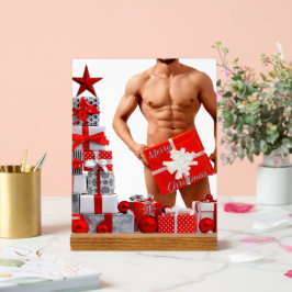 Vrolijk Kerstfeest SlipperyJoe rood wit zilver cad Acryl Bord