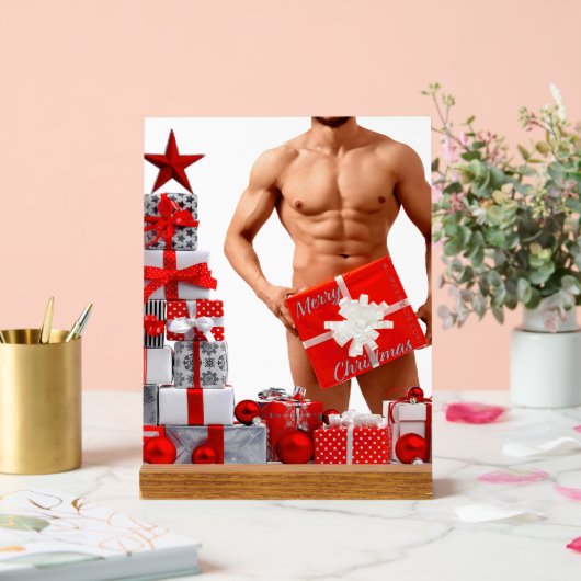 Vrolijk Kerstfeest SlipperyJoe rood wit zilver cad Acryl Bord (Huwelijk)