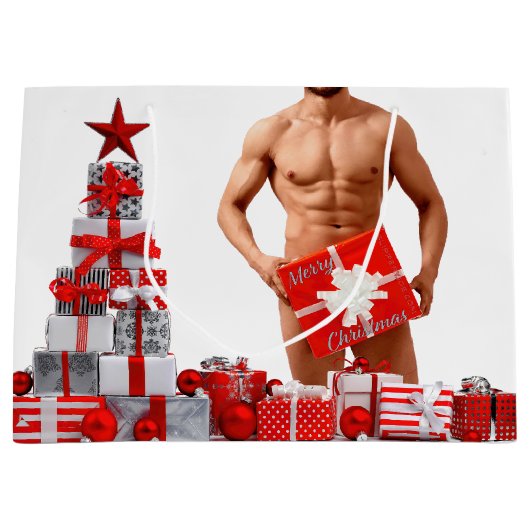 Vrolijk Kerstfeest SlipperyJoe rood wit zilver cad Groot Cadeauzakje (Voorkant)