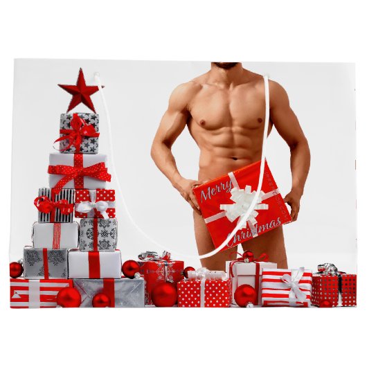 Vrolijk Kerstfeest SlipperyJoe rood wit zilver cad Groot Cadeauzakje (Achterkant)