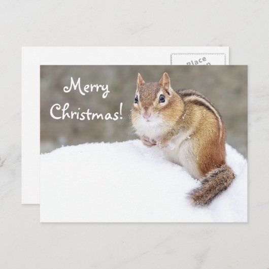 Vrolijk kerstfeest Snowy Chipmunk Feestdagenkaart (Voorkant / Achterkant)