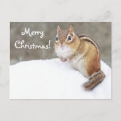 Vrolijk kerstfeest Snowy Chipmunk Feestdagenkaart (Voorkant)