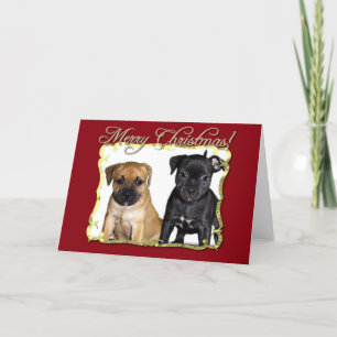 Vrolijk Kerstfeest Staffordshire Bull Terriers Car Feestdagen Kaart