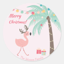 Vrolijk kerstfeest - Sweet Tropical Santa Flamingo