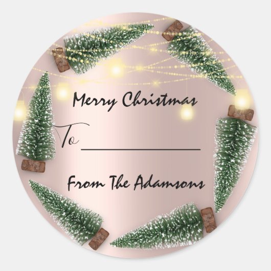 Vrolijk kerstfeest tot..Van familienaam Vakantie b Ronde Sticker (Voorkant)