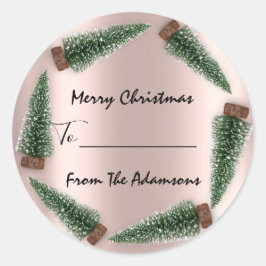 Vrolijk kerstfeest tot..Van familienaam Vakantie b Ronde Sticker