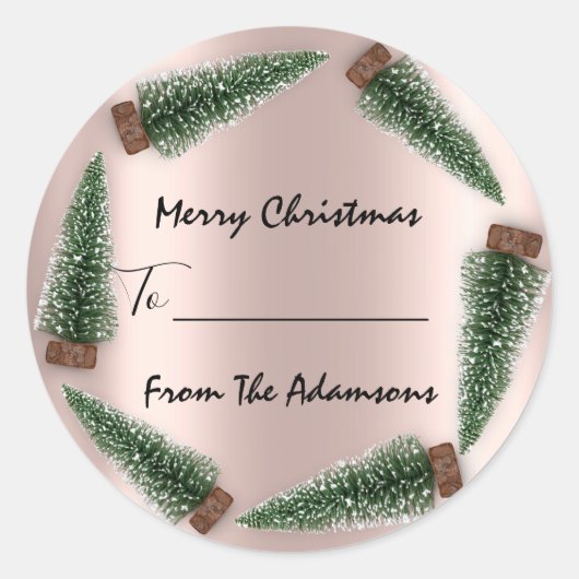 Vrolijk kerstfeest tot..Van familienaam Vakantie b Ronde Sticker (Voorkant)