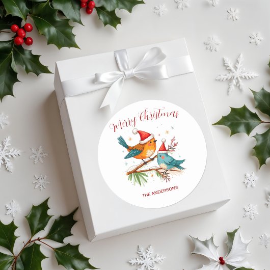 Vrolijk kerstfeest twee liefdevolle vogels ronde sticker