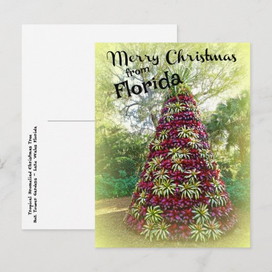 Vrolijk kerstfeest uit de Bromeliad-boom van Flori Briefkaart (Voorkant / Achterkant)