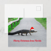 Vrolijk kerstfeest uit Florida grappige alligator Briefkaart (Voorkant / Achterkant)