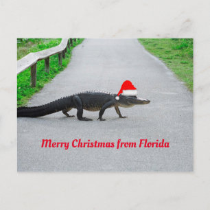 Vrolijk kerstfeest uit Florida grappige alligator Briefkaart