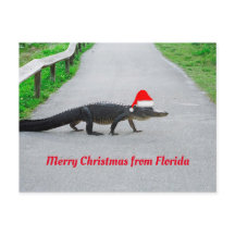Vrolijk kerstfeest uit Florida grappige alligator